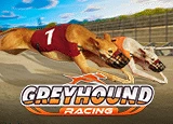 Greyhound Racing Image