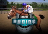 Flat Horse Racing Image